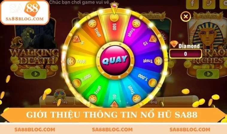 Đôi nét thông tin cơ bản